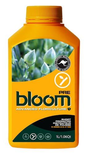 Bloom Pre 1L
