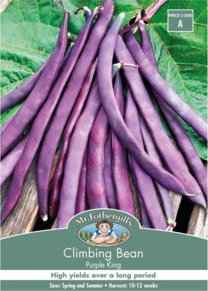 Mr. Fothergill’s Bean Climbing Purple King Seed Packet