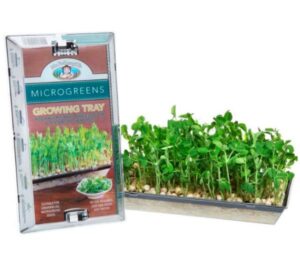 Mr. Fothergill’s Microgreens Growing Tray