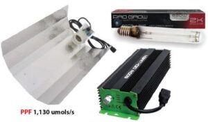 Digi-Lumen 600W Ballast, Reflector & Lamp Kit