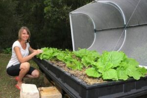 Vegepod Large Raised Garden Bed with VegeCover 2x1m