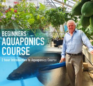 Aquaponics Beginners Course