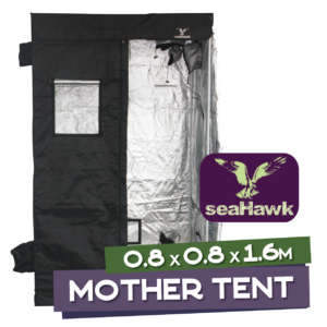 The Mary Jane Mother Tent Combo