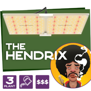 The Hendrix Tent Combo