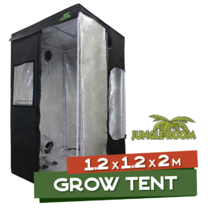 The Cheech and Chong Tent Combo