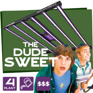 The Dude Sweet Tent Combo