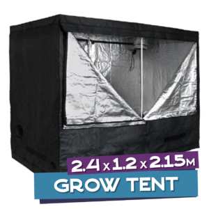 The Big Lebowski Tent Combo