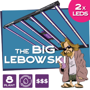 The Big Lebowski Tent Combo
