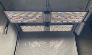 High Light 420 Longboard 500W LED