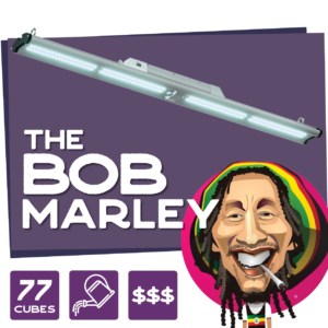 The Bob Marley Propagation Tent Combo