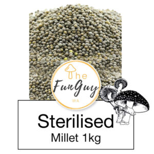 The Fun Guy Mushroom Growing Kit – Sterile Millet 1kg