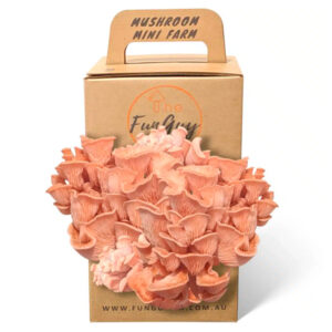 The Fun Guy Mushroom Growing Kit – Pink Oyster