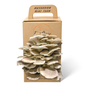 The Fun Guy Mushroom Growing Kit – Phoenix Oyster