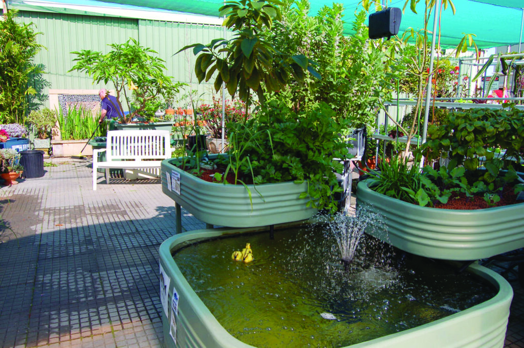 Read more about the article Troubleshooting Your Aquaponics System
